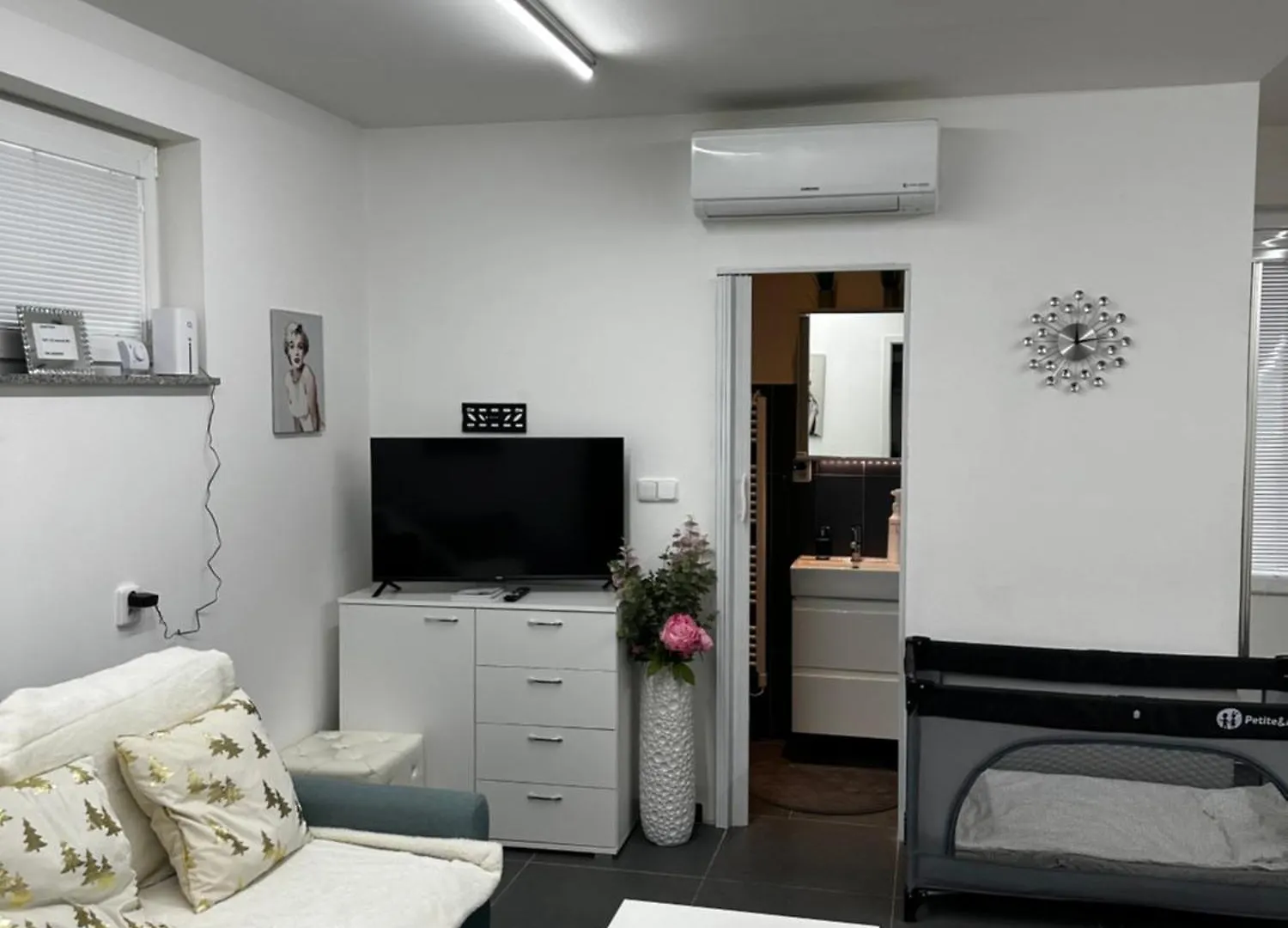Apartment Ubytovani Vinor Prague
