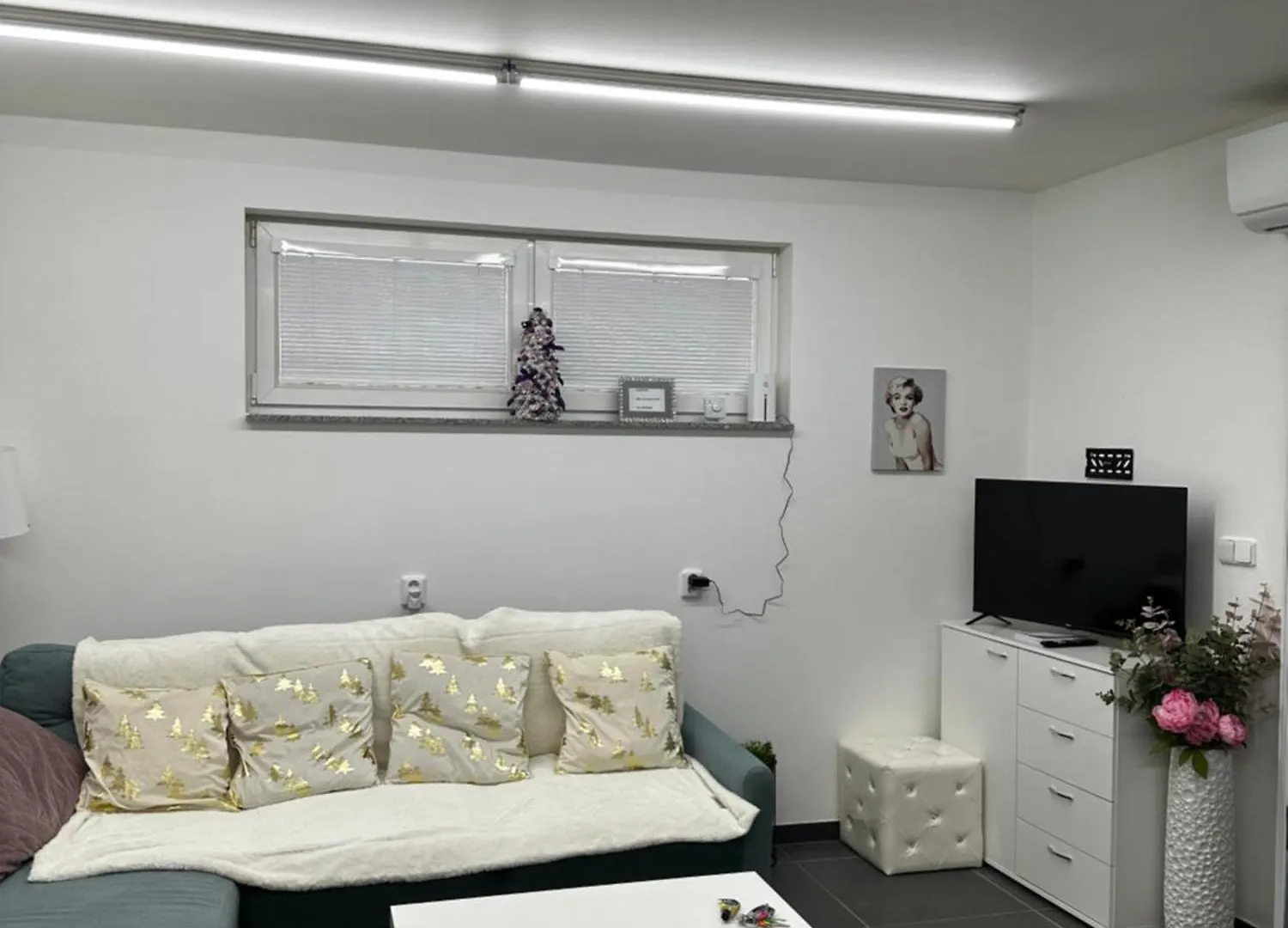 Apartment Ubytovani Vinor Prague